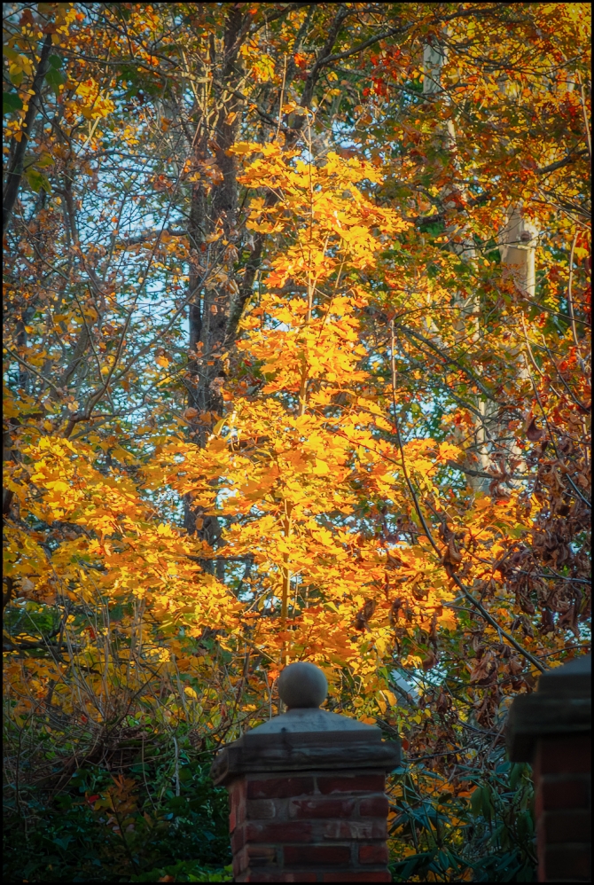 Nikon-Nikkor-24-120mm-f3.5-5.6-D-14-of-15