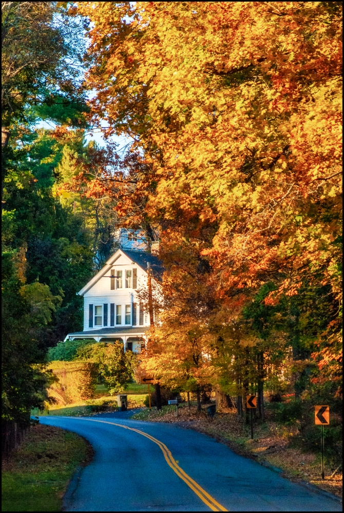 Nikon-Nikkor-24-120mm-f3.5-5.6-D-15-of-15