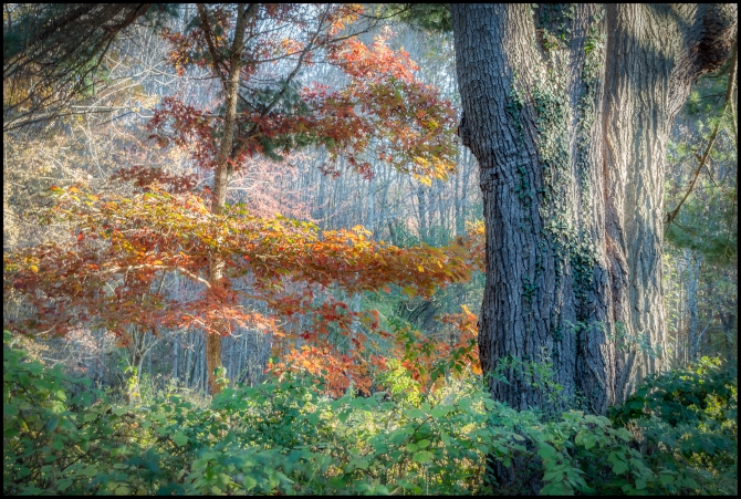 Nikon-Nikkor-24-120mm-f3.5-5.6-D-2-of-15