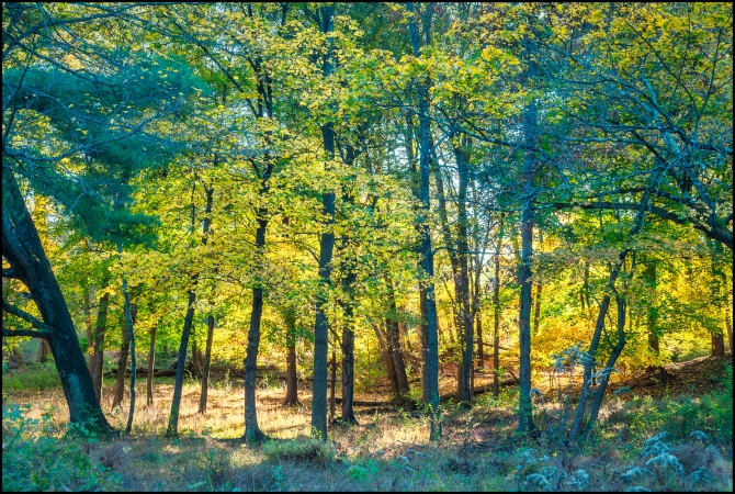 Nikon-Nikkor-24-120mm-f3.5-5.6-D-3-of-15