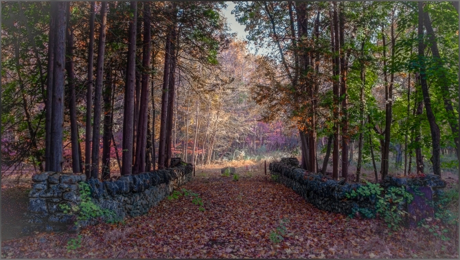 Nikon-Nikkor-24-120mm-f3.5-5.6-D-4-of-15