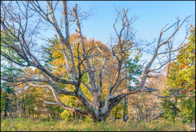 Nikon-Nikkor-24-120mm-f3.5-5.6-D-5-of-15