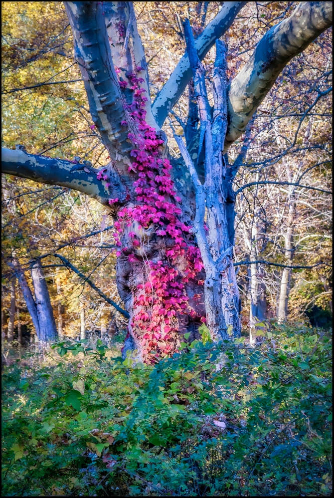 Nikon-Nikkor-24-120mm-f3.5-5.6-D-6-of-15