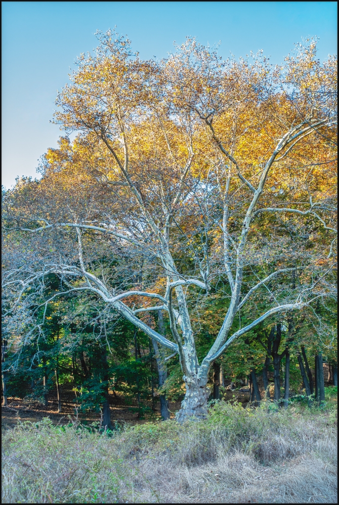 Nikon-Nikkor-24-120mm-f3.5-5.6-D-7-of-15