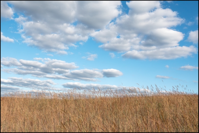 crotonpointpark-2-of-14