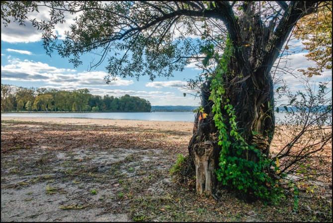 crotonpointpark-4-of-14