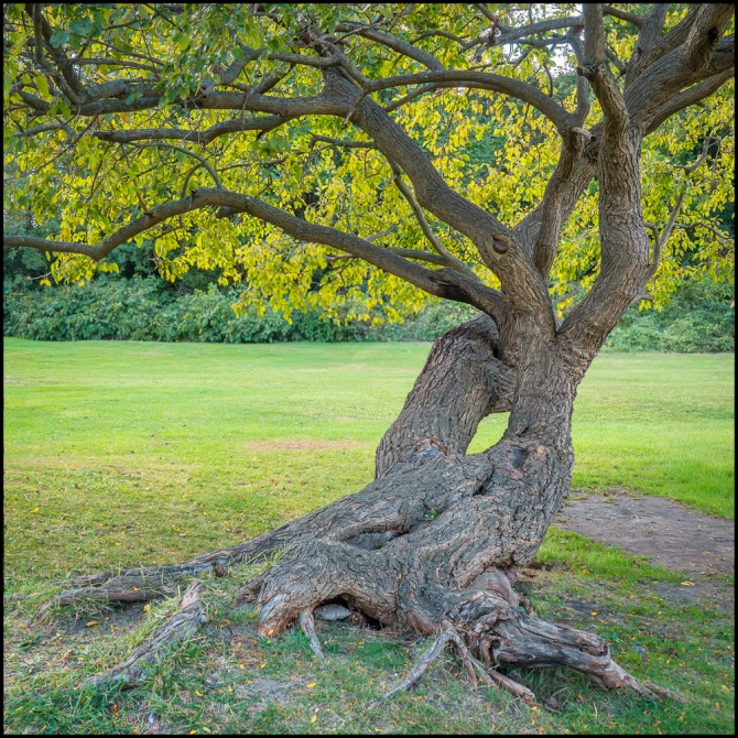 crotonpointpark-7-of-14