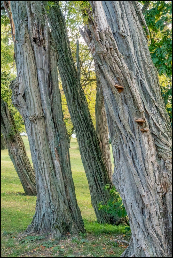 crotonpointpark-8-of-14