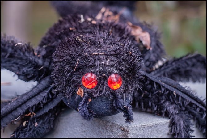 halloweeninbriarcliff-1-of-5