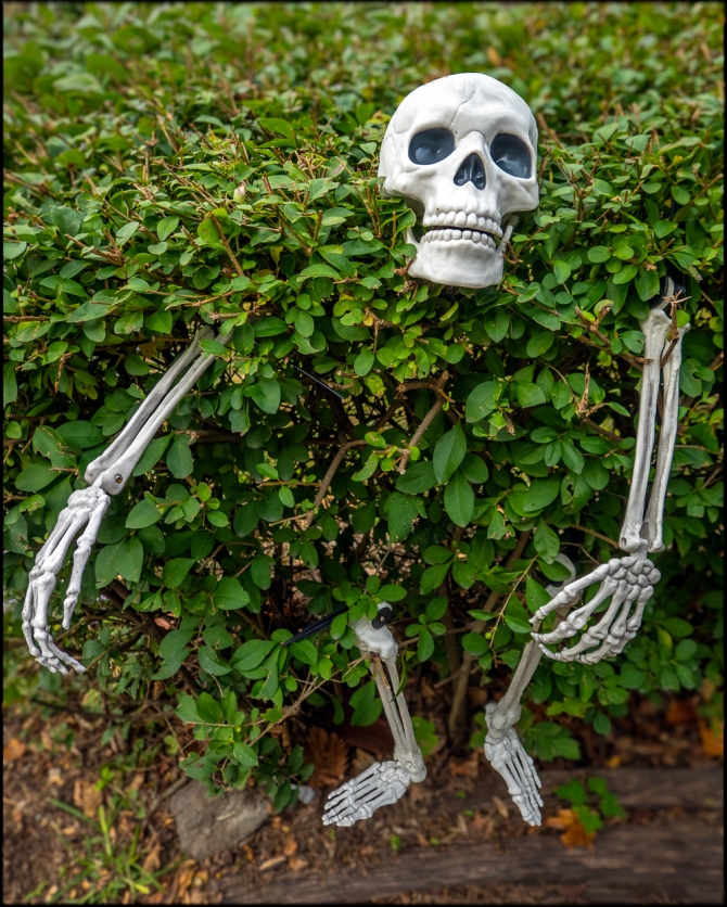 halloweeninbriarcliff-2-of-5