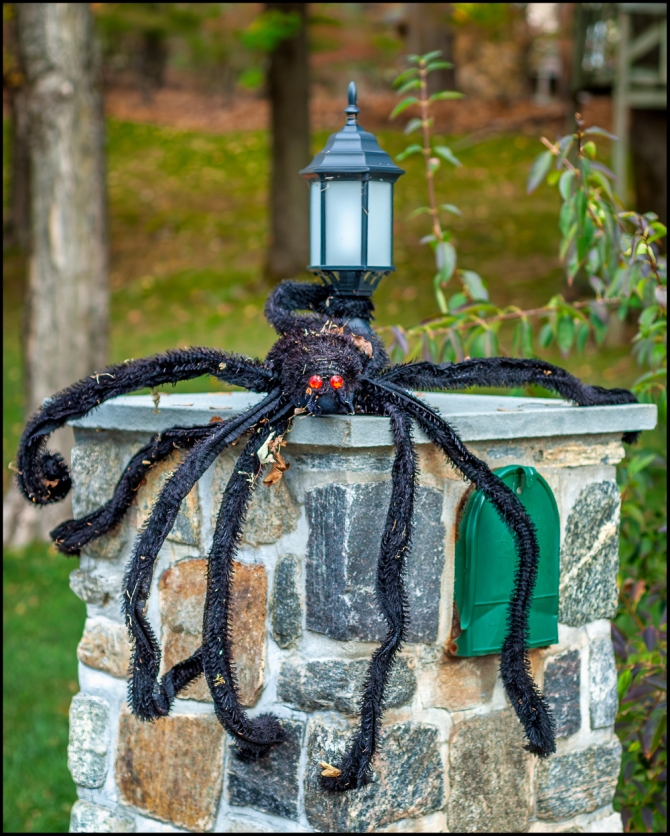 halloweeninbriarcliff-4-of-5