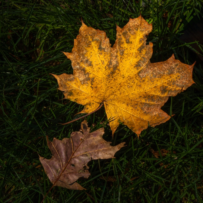 intimatenaturephotography-1-of-4