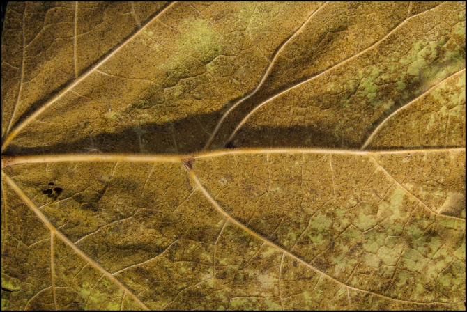 intimatenaturephotography-2-of-4