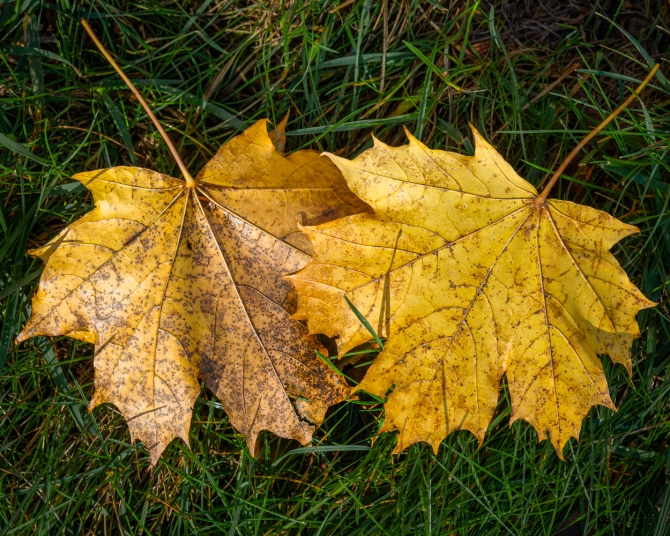 intimatenaturephotography-3-of-4