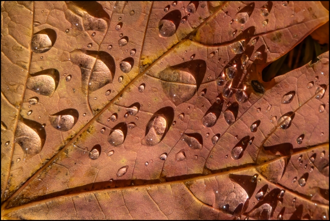 intimatenaturephotography-4-of-4