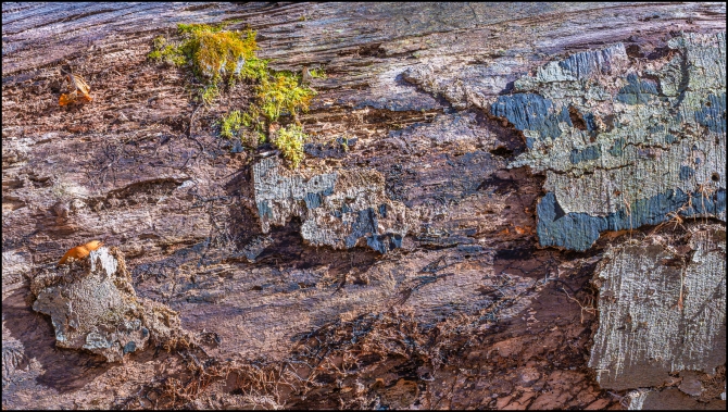 moreintimatenaturephotography-2-of-3