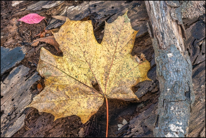 moreintimatenaturephotography-2-of-5