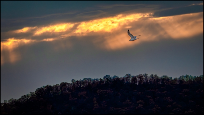 susetoverhudson-1-of-5