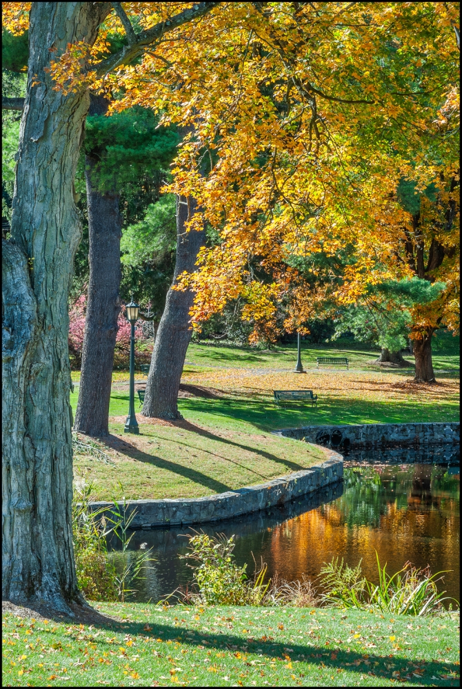 thelawparkpond-1-of-3