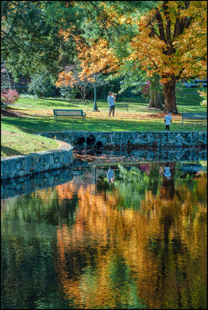 thelawparkpond-2-of-3