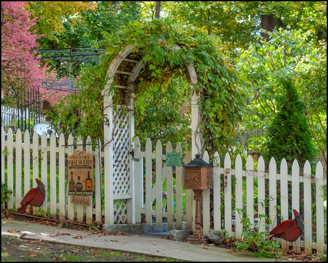 witchesbrewery-2-of-3