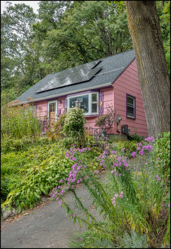 abrightlycoloredhouse-1-of-1