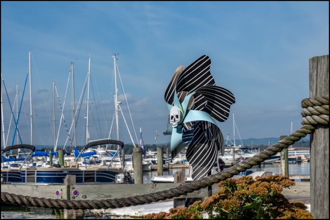 halloweenscoming-1-of-1