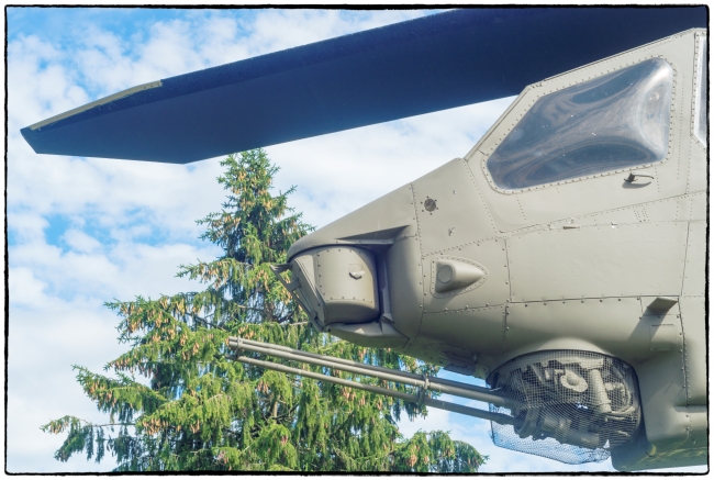 veteransmemorialparkcobra-2