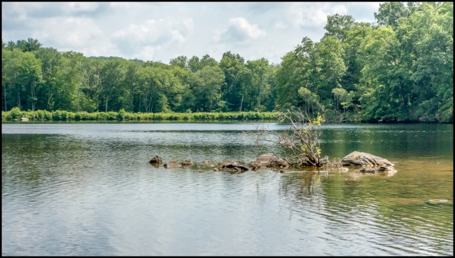 wiccopeereservoirupperlake-2