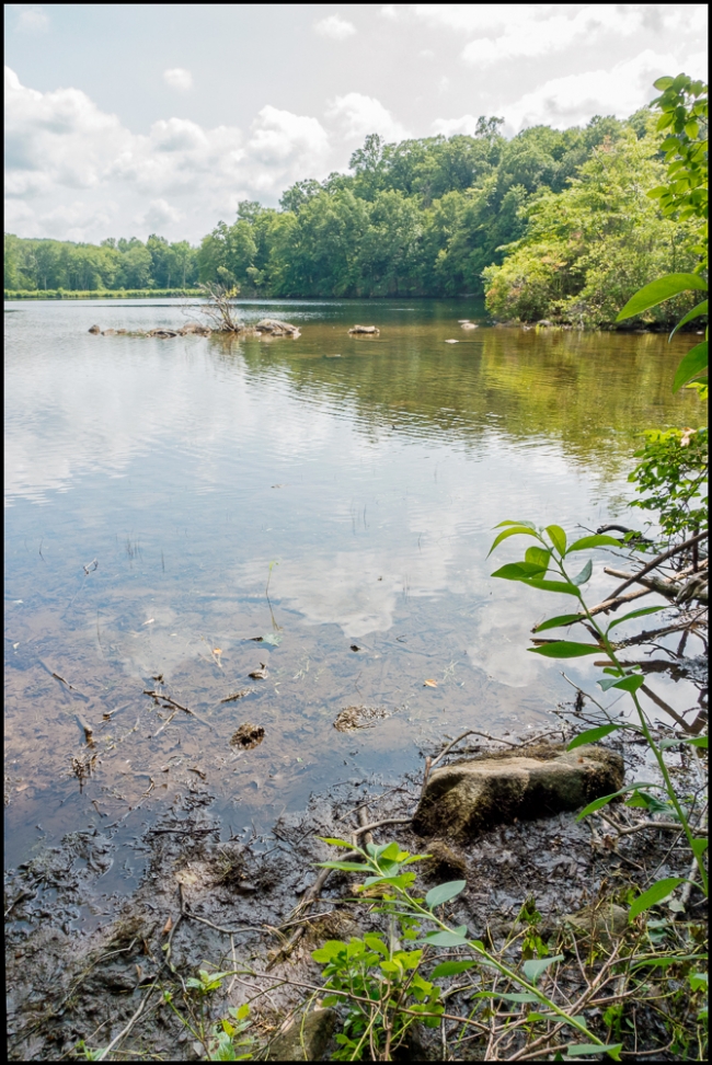 wiccopeereservoirupperlake-3