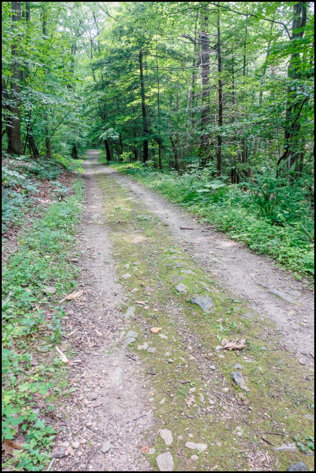 wiccoppereservoirtrail-