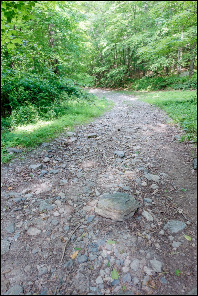 wiccoppereservoirtrail-2