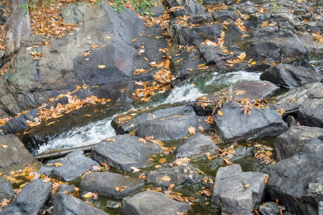 pocanticolake-6-of-6