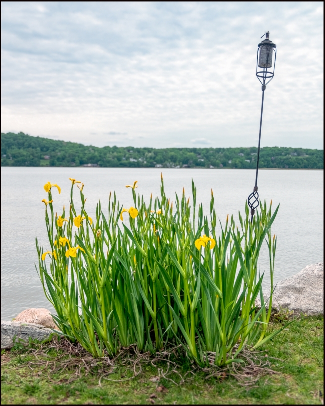 dobbsferrylunchathalfmoon-3