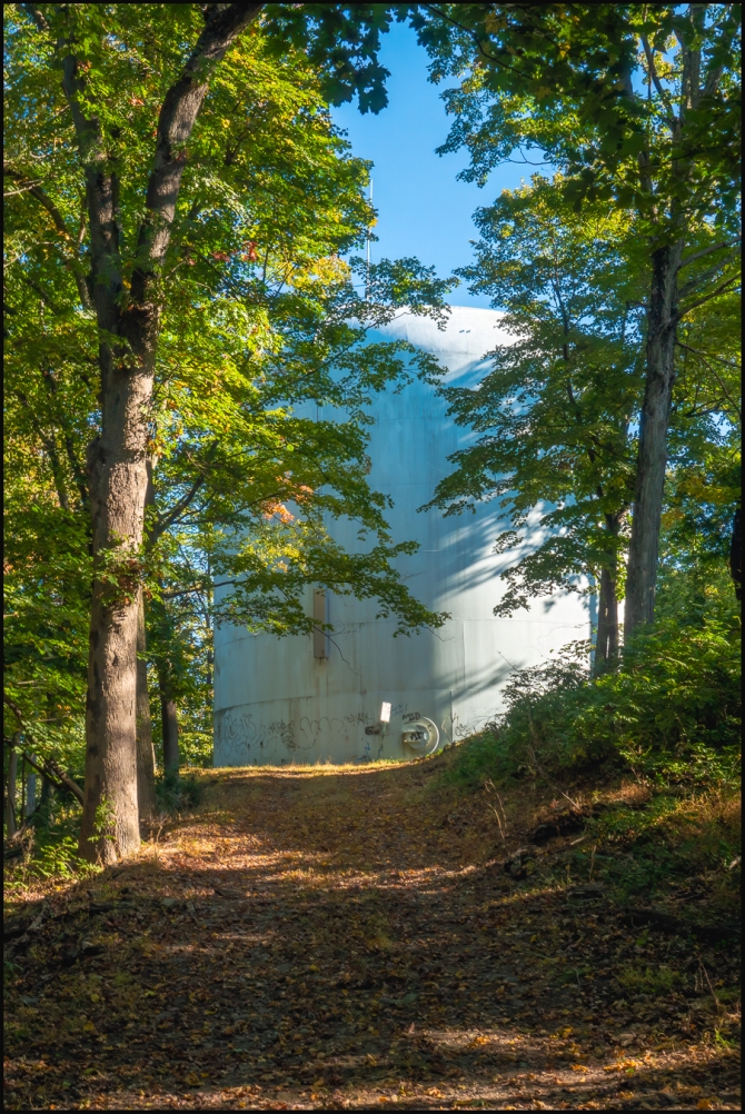 tankinthewoods-1-of-5