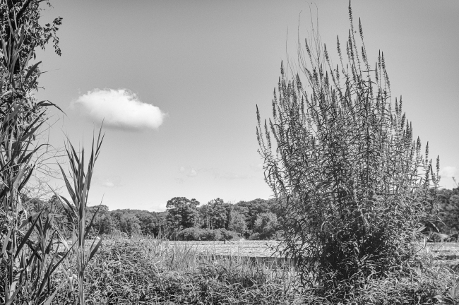 appalachian-hiddenvalley-3