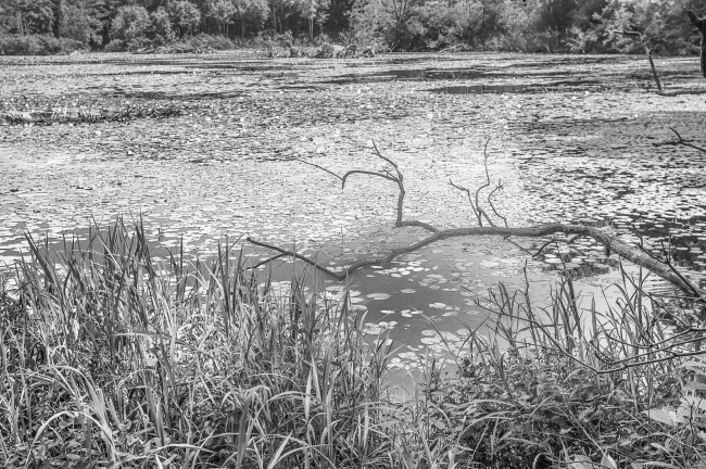 appalachian-hiddenvalley-4