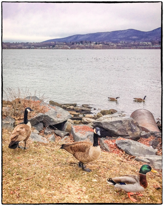 newburghwaterfront-1