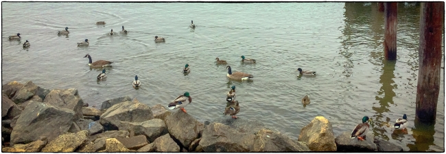 newburghwaterfront-2