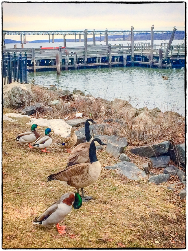 newburghwaterfront-3