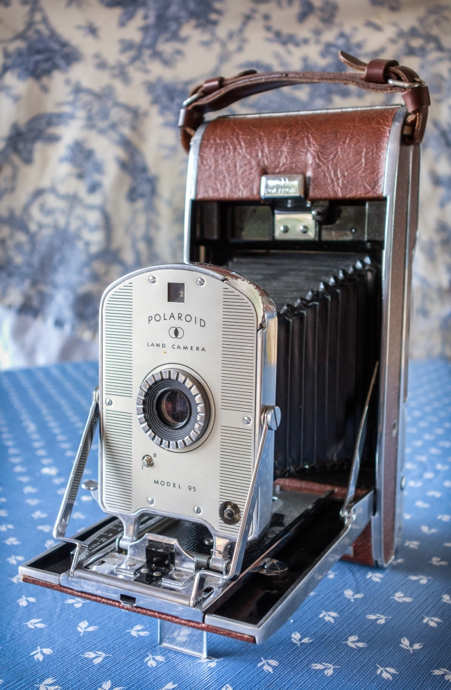 Polaroid95-1