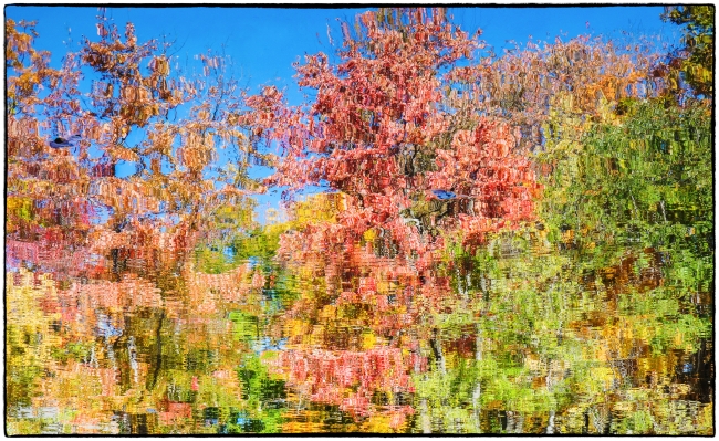 reflectionsoffall-1