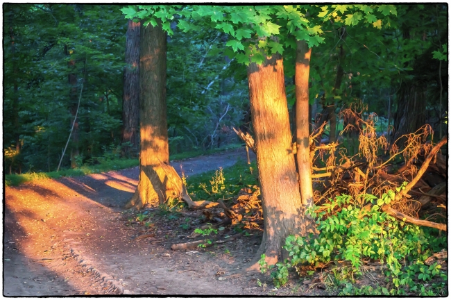 rockwoodhallevening-1