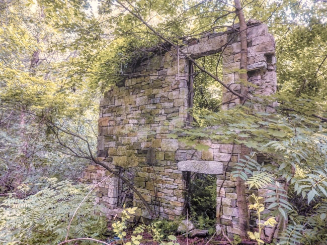 ruinsatleonlevypreserve-1