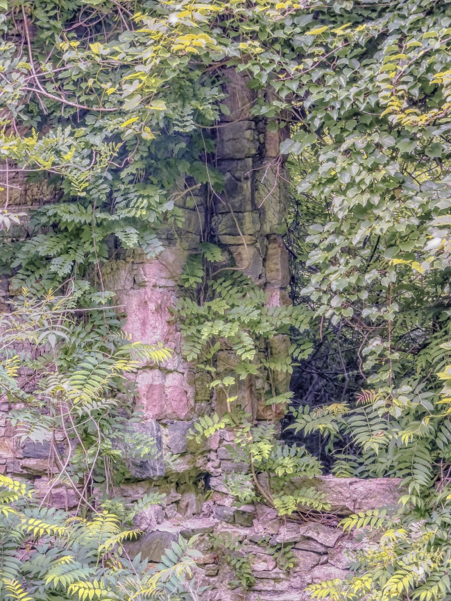 ruinsatleonlevypreserve-2