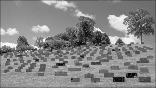 Kensico-Cemetery-gravestones-August-27-2023