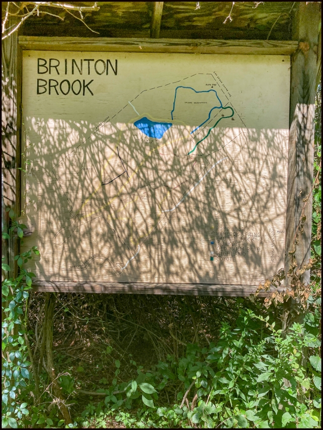 brintonbrook-1
