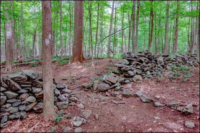 hardscrabblewildernessarea-5