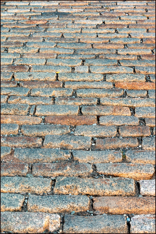 inhastingswithrobert-4