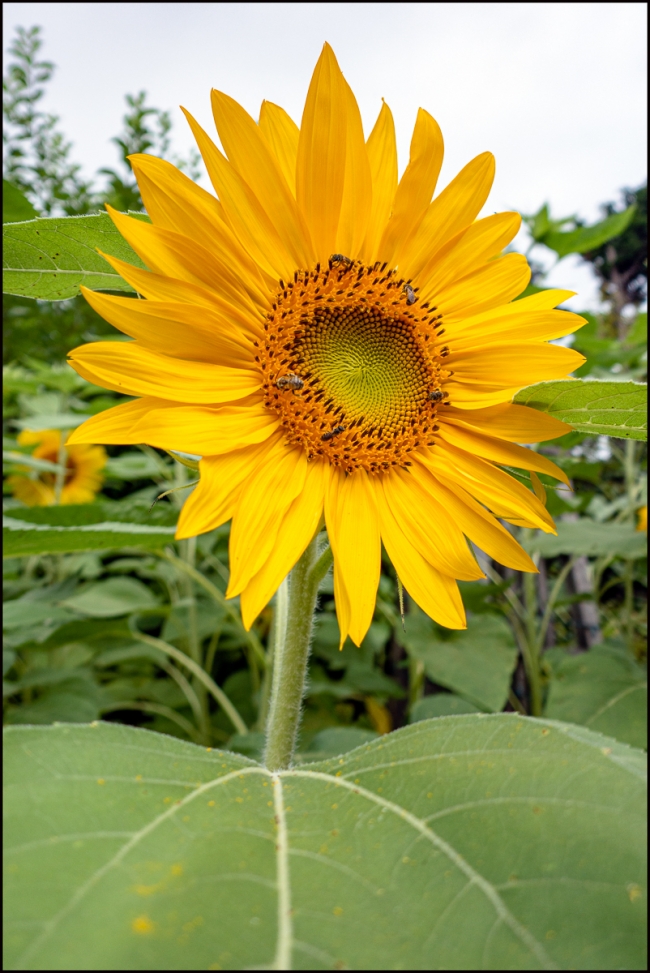 inhastingswithrobert-5